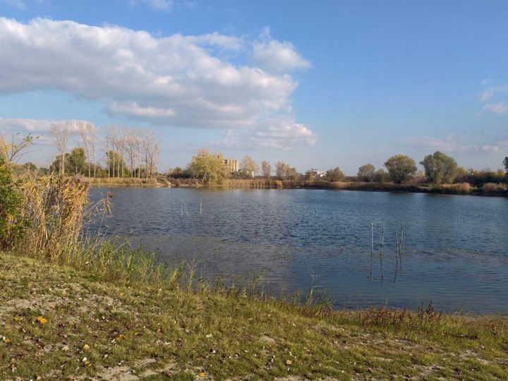 Lake Provala on a sunny autumn day: reeds, poplars and white clouds over calm water