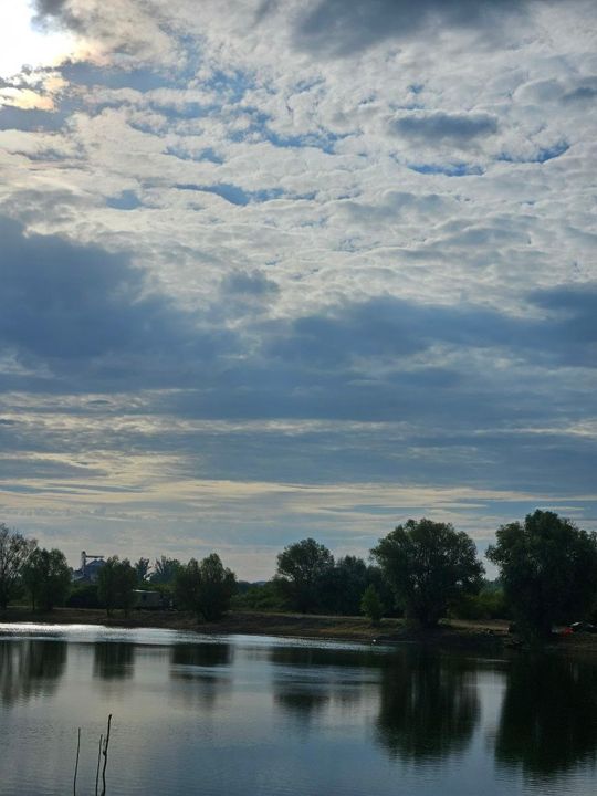 A wide sky of fleecy clouds over Lake Provala, trees reflected in the water