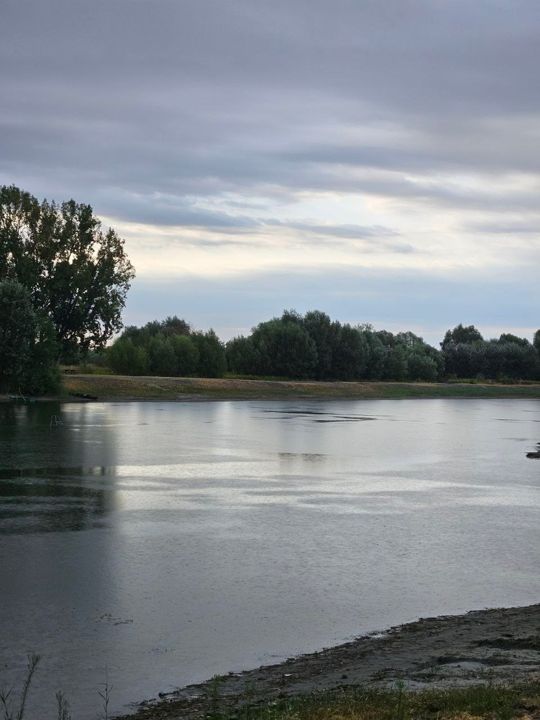 Lake Provala on a grey summer evening, a line of willows and poplars along the far shore